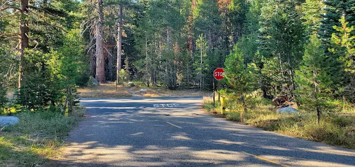 Pine Marten Campground Picture 8