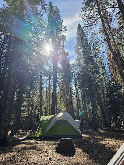 Pine Marten Campground Picture 6