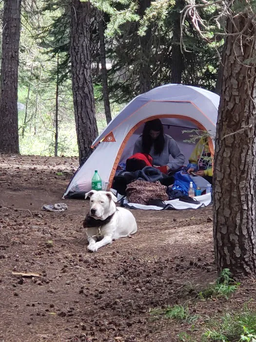 Pine Marten Campground Picture 2