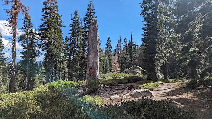 Silver Valley Campground Picture 1