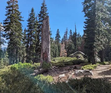 Silver Valley Campground