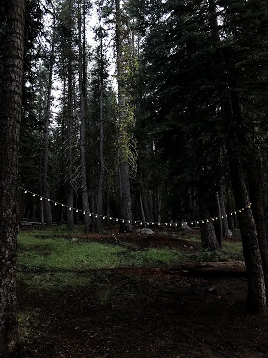 Silver Valley Campground Picture 4
