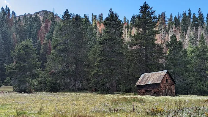 Silver Valley Campground Picture 5