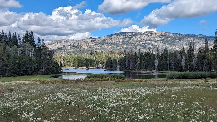 Silver Valley Campground Picture 3