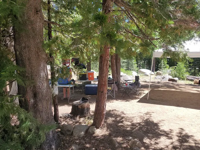 USFS Sugar Pine Point Campground Picture 8