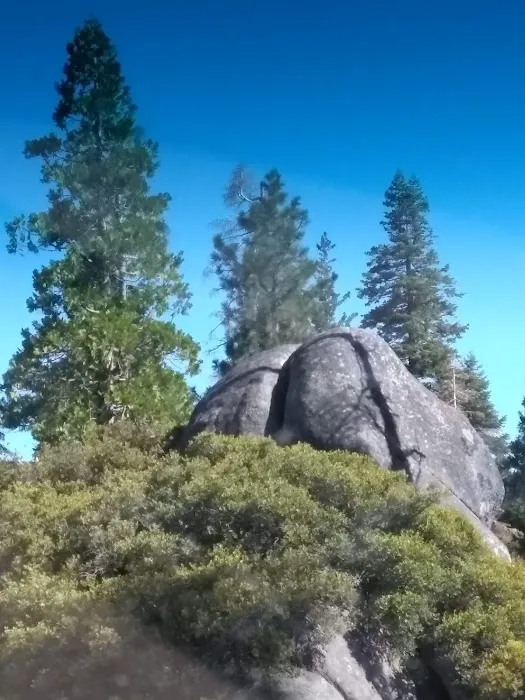 USFS Sugar Pine Point Campground Picture 7