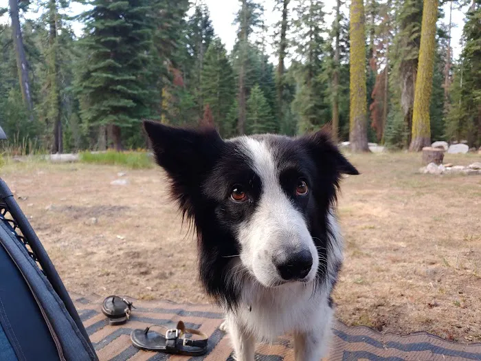 Cole Creek Campground Picture 9