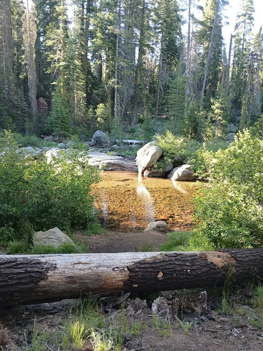 Cole Creek Campground Picture 2