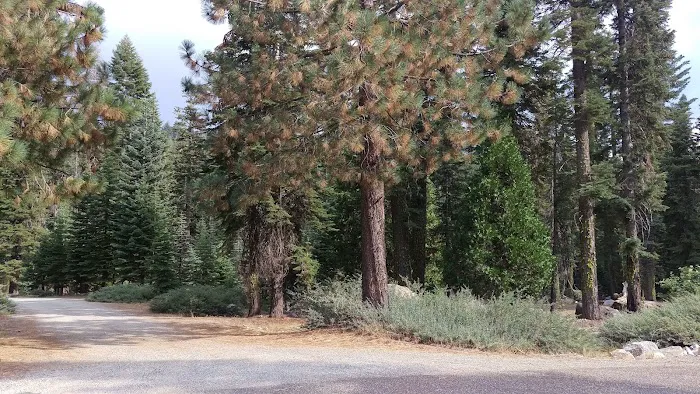 Cole Creek Campground Picture 3
