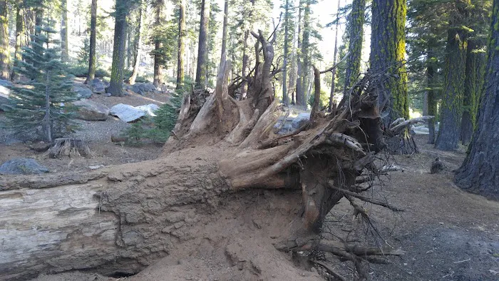 Cole Creek Campground Picture 8