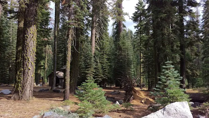Cole Creek Campground Picture 4
