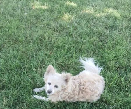 Cole Creek Campground