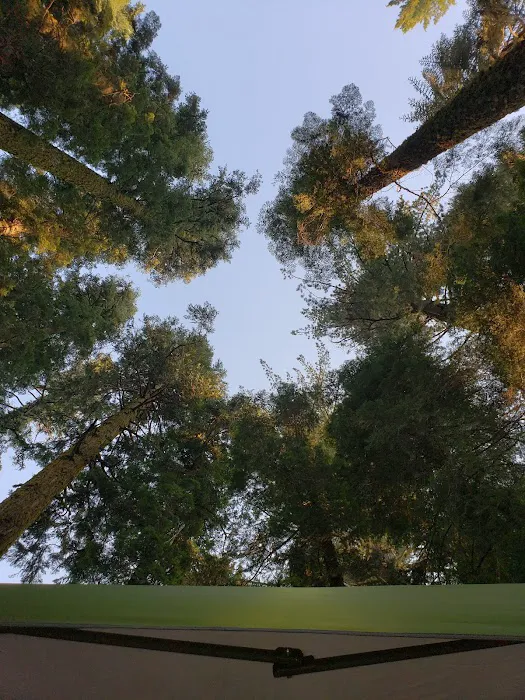 Bear Group Campground Picture 5