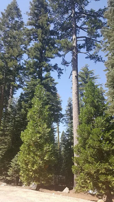 Bear Group Campground Picture 2
