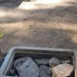 Bear Group Campground