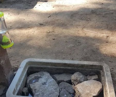 Bear Group Campground