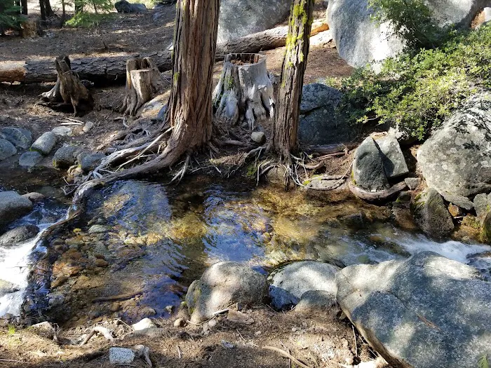 Pardoes Point Campground Picture 9