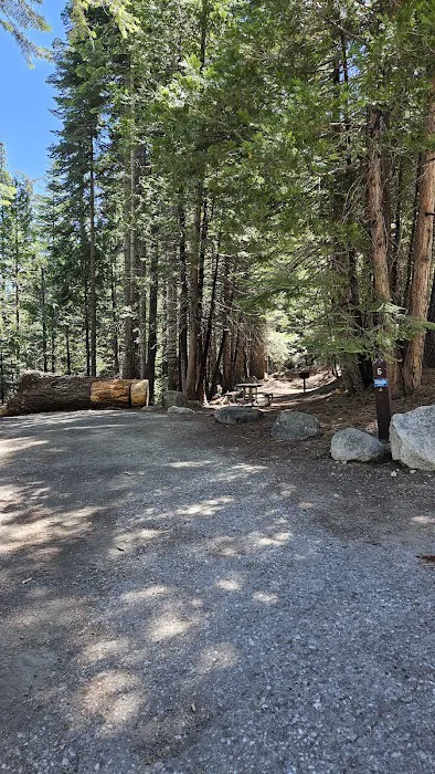 South Shore Campground Picture 4