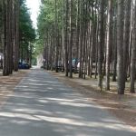 Pearl Lake RV Campground by Rjourney