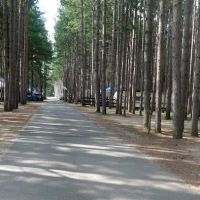 Pearl Lake RV Campground by Rjourney ico