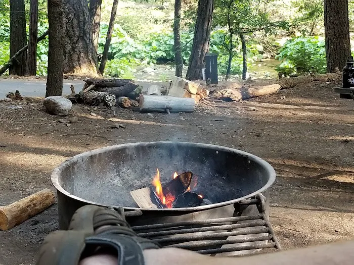 Pipi Campground Picture 4