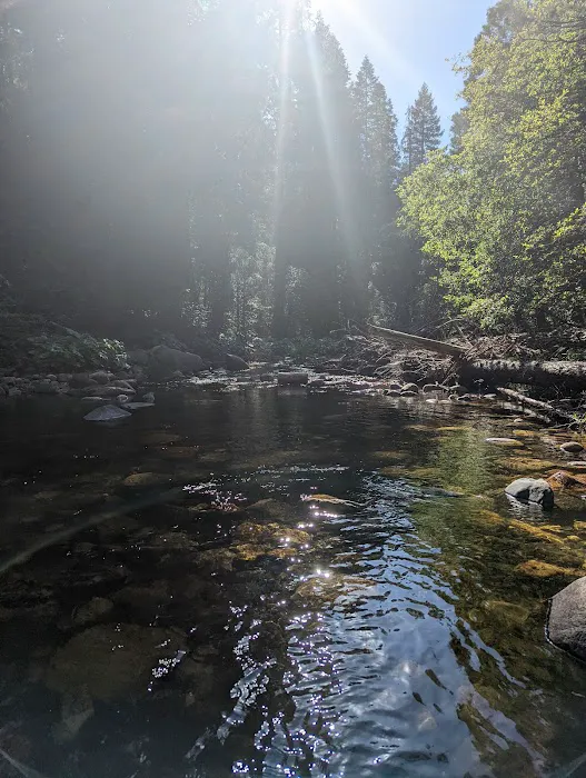 Pipi Campground Picture 9