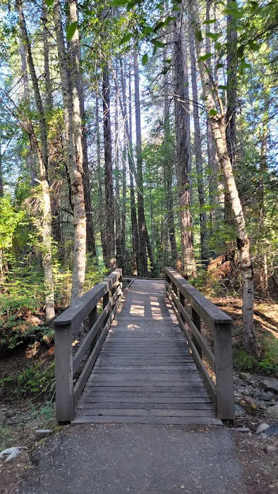 Pipi Campground Picture 2