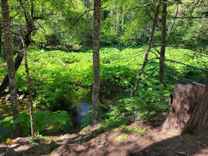 Pipi Campground Picture 10