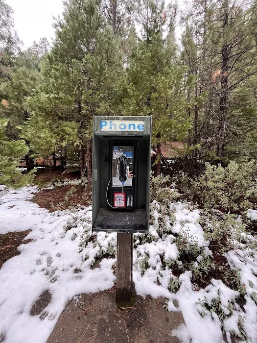 Pipi Campground Picture 5