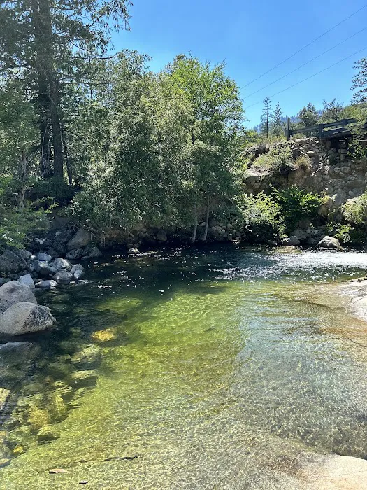 Pipi Campground Picture 7