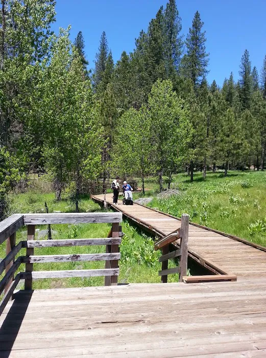 Pipi Campground Picture 3