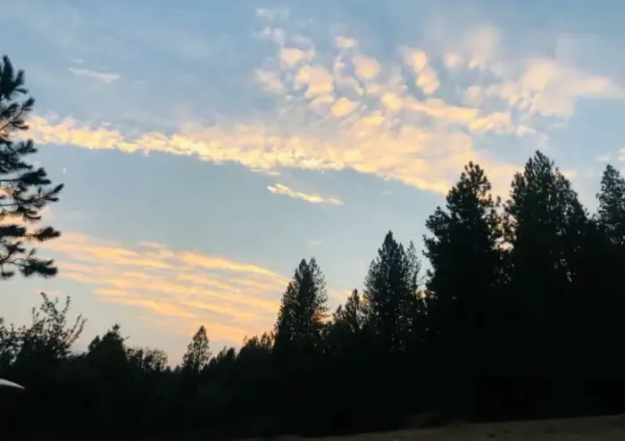 Lazy G Ranch Creekside Camping Retreat Picture 5