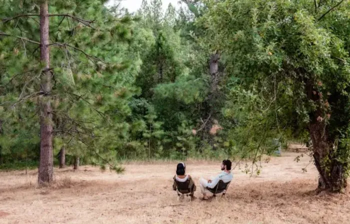 Lazy G Ranch Creekside Camping Retreat Picture 2