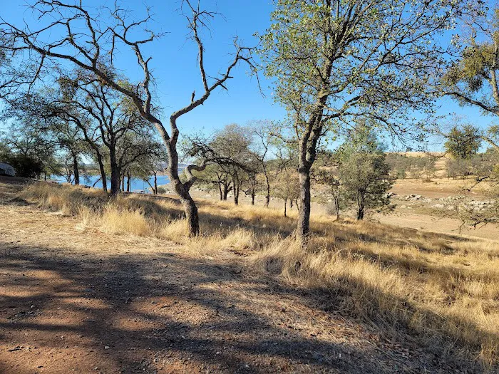 Acorn Campground Picture 7