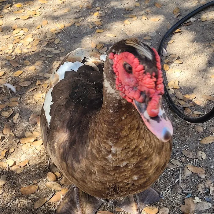 Monument Campground Picture 6