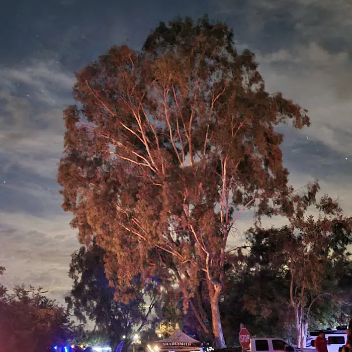 Monument Campground Picture 4