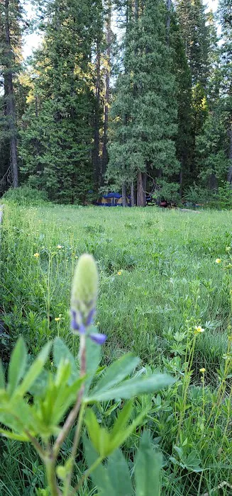 Calaveras Big Trees State Park Group Campground Picture 5