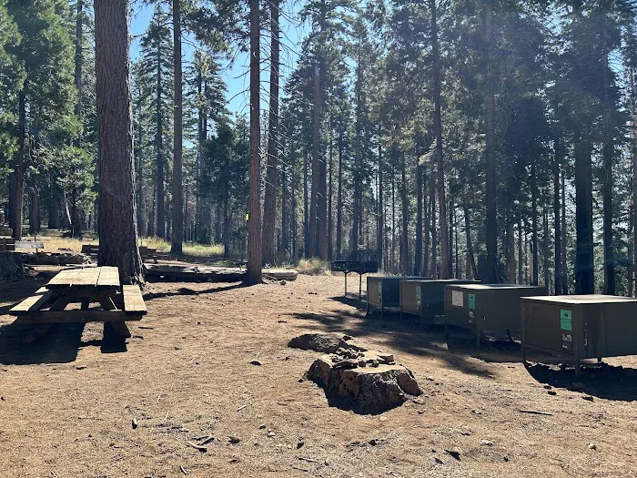 Calaveras Big Trees State Park Group Campground Picture 8