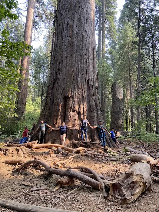 Calaveras Big Trees State Park Group Campground Picture 9