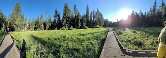 Calaveras Big Trees State Park Group Campground Picture 4