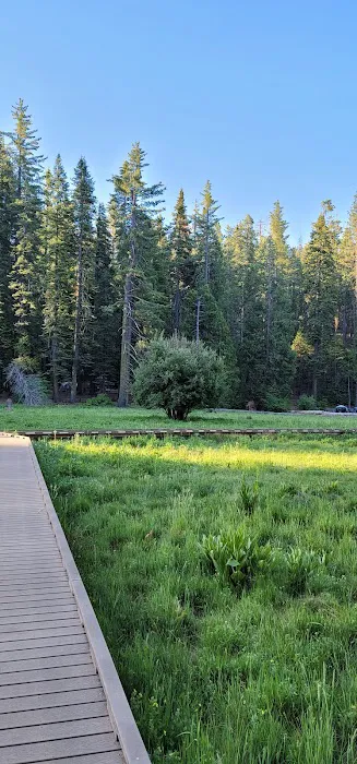 Calaveras Big Trees State Park Group Campground Picture 3