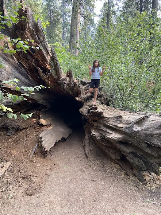 Calaveras Big Trees State Park Group Campground Picture 6