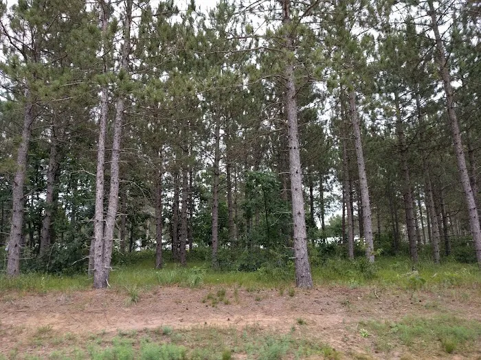 Homegrounds RV Park Picture 2