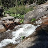 Capps Crossing Group Campground ico