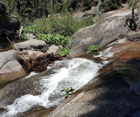Capps Crossing Group Campground