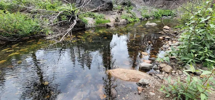 Capps Crossing Group Campground Picture 5