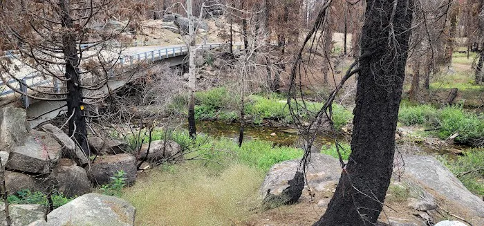 Capps Crossing Group Campground Picture 4