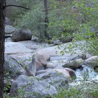 White Azalea Campground ico