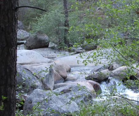 White Azalea Campground