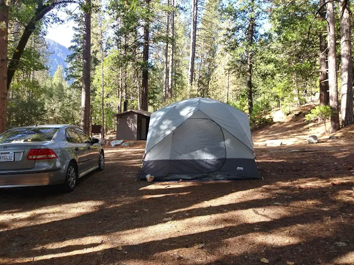 White Azalea Campground Picture 3